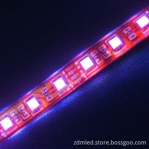 Waterproof SMD 5050 RGB kitchen led strip light